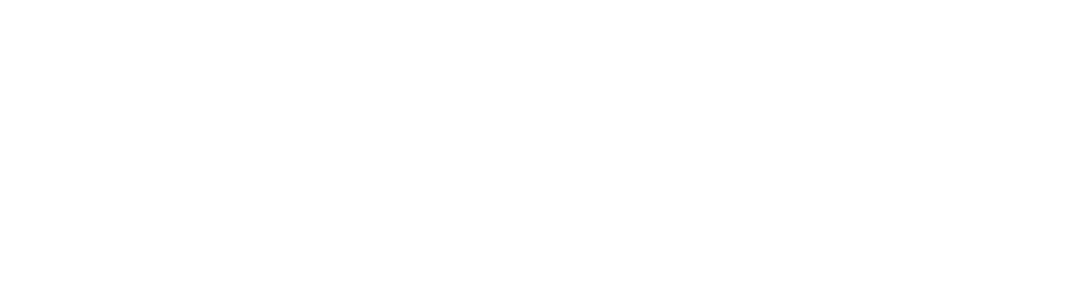 CoinnexusLogoWhite